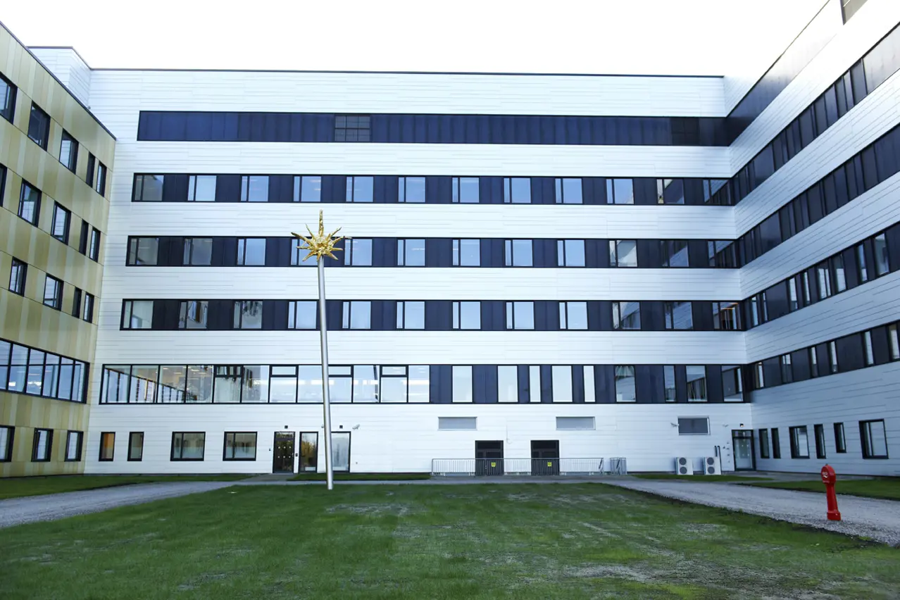 Halvatriet/Lyspunkt av Jone Kvie