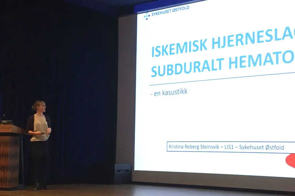 Steinsvik holder foredrag